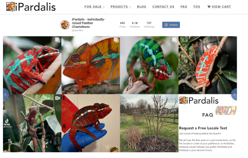 iPardalis screenshot
